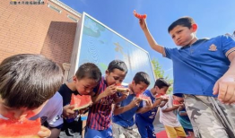 红领巾吃瓜网怎么进入,轻松一步，开启趣味娱乐新体验