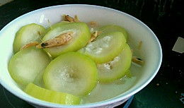 网红吃长蒲瓜,趣味横生引网友热议