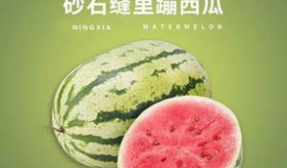 网红界的吃瓜,揭秘娱乐圈幕后真相