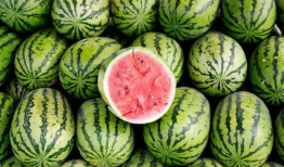 吃瓜网最快,娱乐圈最新热点事件深度剖析